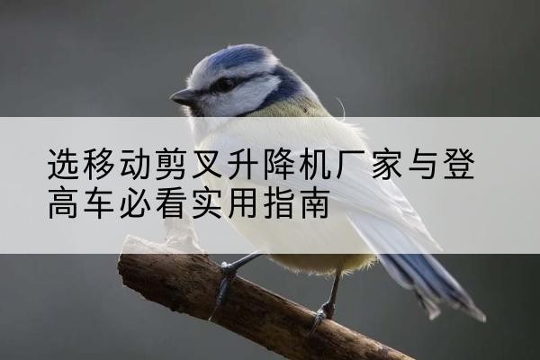 渝中区电动升降机厂家-选移动剪叉升降机厂家与登高车必看实用指南