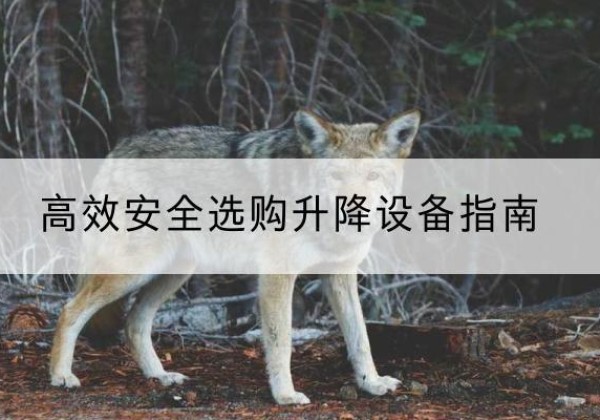 渝中区升降货梯厂家推荐-*安全选购升降设备指南
