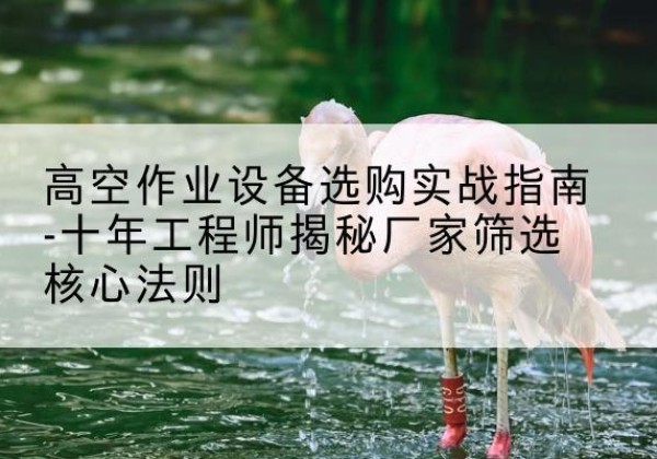 渝中区剪叉式升降机厂家-高空作业设备选购实战指南-十年工程师揭秘厂家筛选核心法则